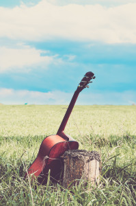 Guitar leaning on tree stump in grassy field
