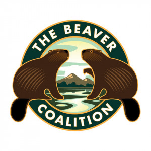 The Beaver Coalition logo The Beaver Coalition logo