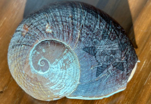 It's a shell with a spiral on it as well as the Self Help Radio logo.
