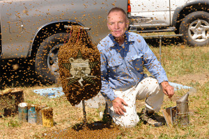 A Photoshopped image of the musician Sting surrounded by bees who, one hopes, will sting him
