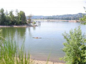 Willamette River Green Oasis Willamette River Green Oasis