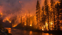 Chiwaukum Creek fire Chiwaukum Creek fire
