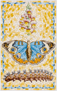david_cohen_butterfly-1-copy-649x1024.jpeg david_cohen_butterfly-1-copy-649x1024.jpeg