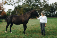Horse Whisperer Rosalyn Berne