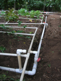 watering system