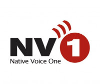 nv1_logo_ nv1_logo_